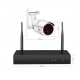 1080P 8CH NVR Audio Record Outdoor Night Vision CCTV Camera Video Surveillance System