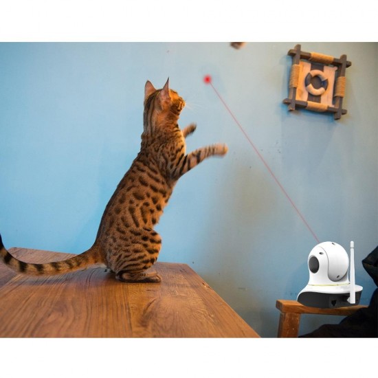 C38S-P 1080P Pet IP Camera Wifi Video Surveillance Security Camera Remote Control Laser Play with Pet Video Intercom IR Night C38S-P 1080P Pet IP Camera Wifi Video Surveillance Security Camera Remote Control Laser Play with Pet Video Intercom IR Night
