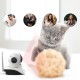 C38S-P 1080P Pet IP Camera Wifi Video Surveillance Security Camera Remote Control Laser Play with Pet Video Intercom IR Night