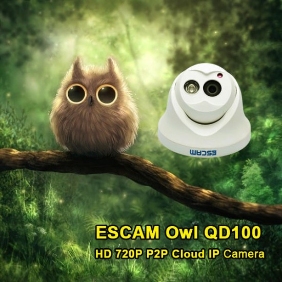 QD100 720P IP Camera Network IR-Cut P2P IR Night Vision Motion Detection Support Onvif Camera