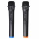 DC 12V UHF 2 Channel Dual Wireless Handheld Microphone Speaker Mics w/ Receiver