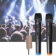 DC 12V UHF 2 Channel Dual Wireless Handheld Microphone Speaker Mics w/ Receiver