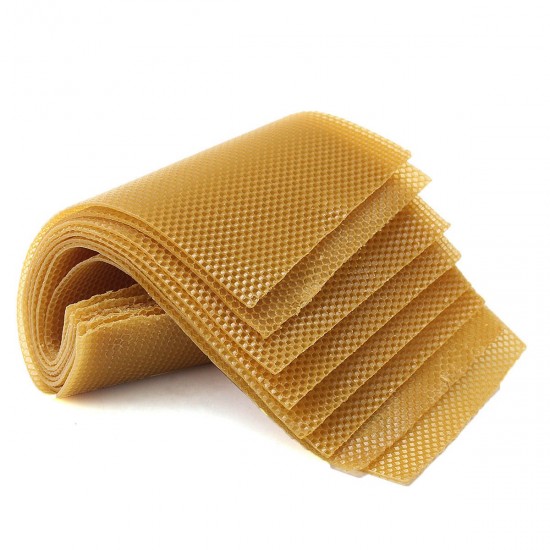 10Pcs Honeycomb Wax Frame Beekeeping Foundation Honey Hive Equipment Tool