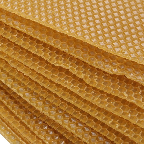 10Pcs Honeycomb Wax Frame Beekeeping Foundation Honey Hive Equipment Tool