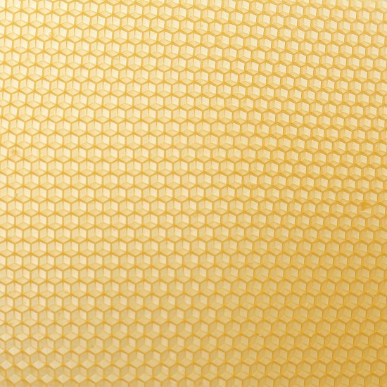 10Pcs Honeycomb Wax Frame Beekeeping Foundation Honey Hive Equipment Tool 10Pcs Honeycomb Wax Frame Beekeeping Foundation Honey Hive Equipment Tool