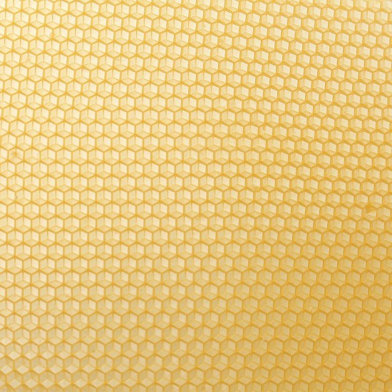 10Pcs Honeycomb Wax Frame Beekeeping Foundation Honey Hive Equipment Tool