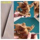 1Pcs Polymer Clay Tools Carving Craft Pottery Clay Sculpting Tool Pottery Ceramics Tool 1Pcs Polymer Clay Tools Carving Craft Pottery Clay Sculpting Tool Pottery Ceramics Tool