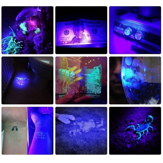 51 LED UV Scorpion Detector Hunter Finder Violet Blacklight Flashlight