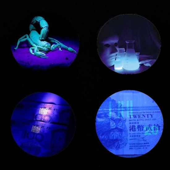U03 21LEDs 400nm Violet UV LED Flashlight Fluorescence Sterilization Banknote Detection Pen