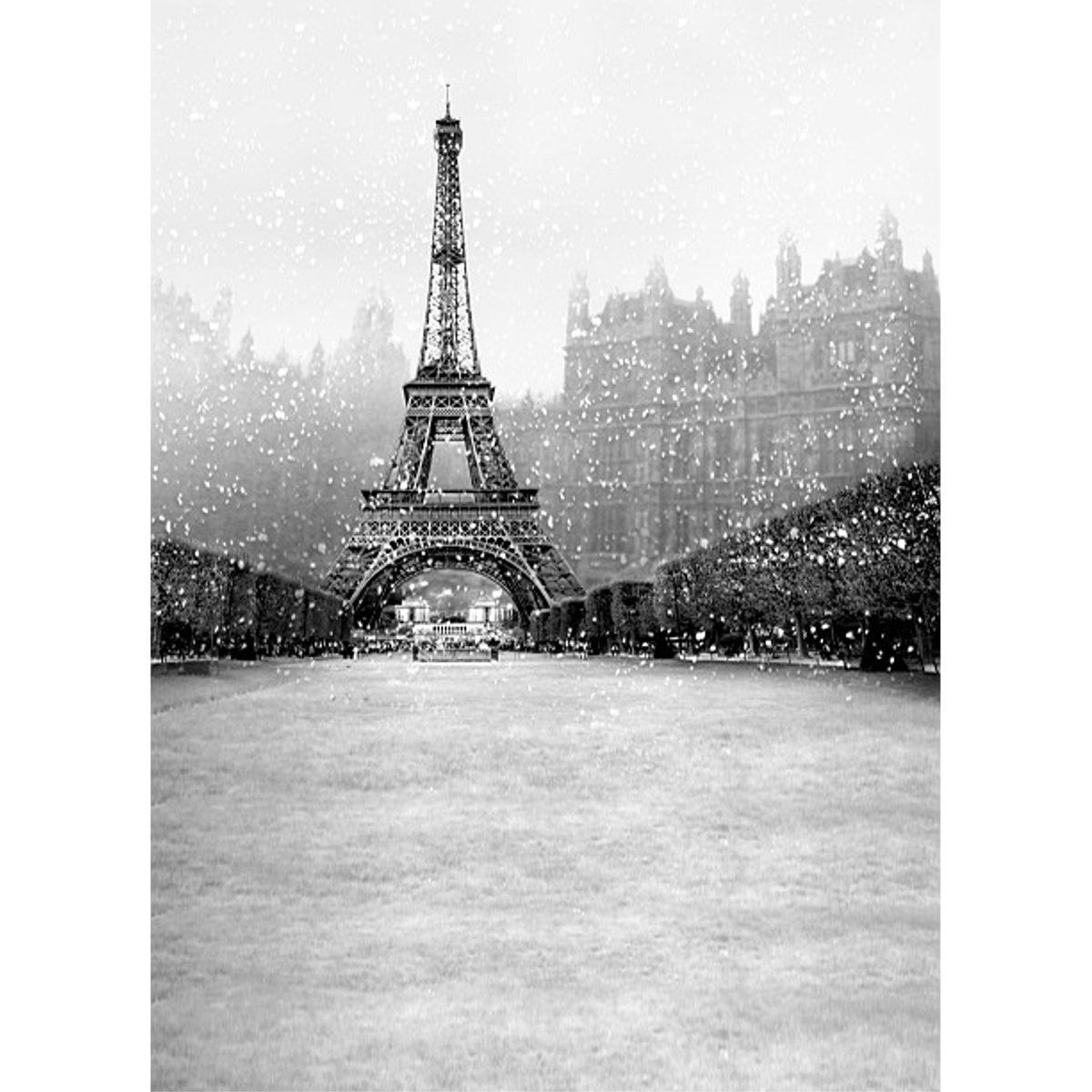 3x5ft-Vinyl-Snowflake-Eiffel-Tower-Photography-Background-Backdrop-For-Studio-Prop-1148027