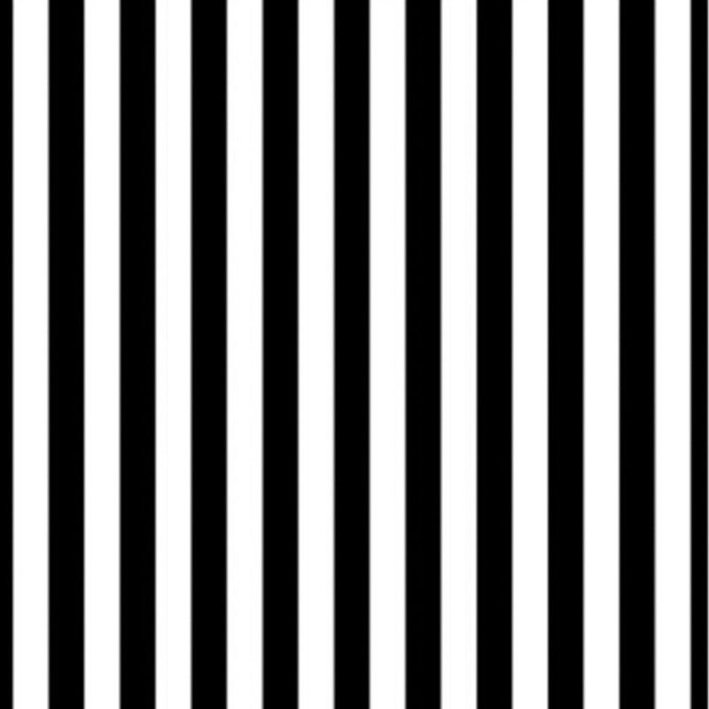 8x8FT-Black-White-Stripes-Wall-Photography-Studio-Vinyl-Background-Backdrop-1160124