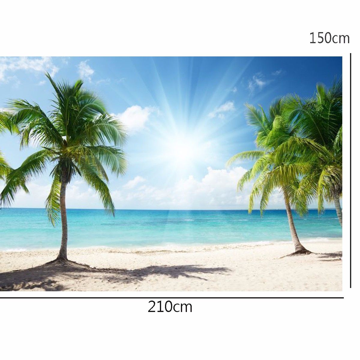 Vinyl-Background-Cloth-Photography-Palm-Beach-Sunshine-Studio-Backdrop-1130353