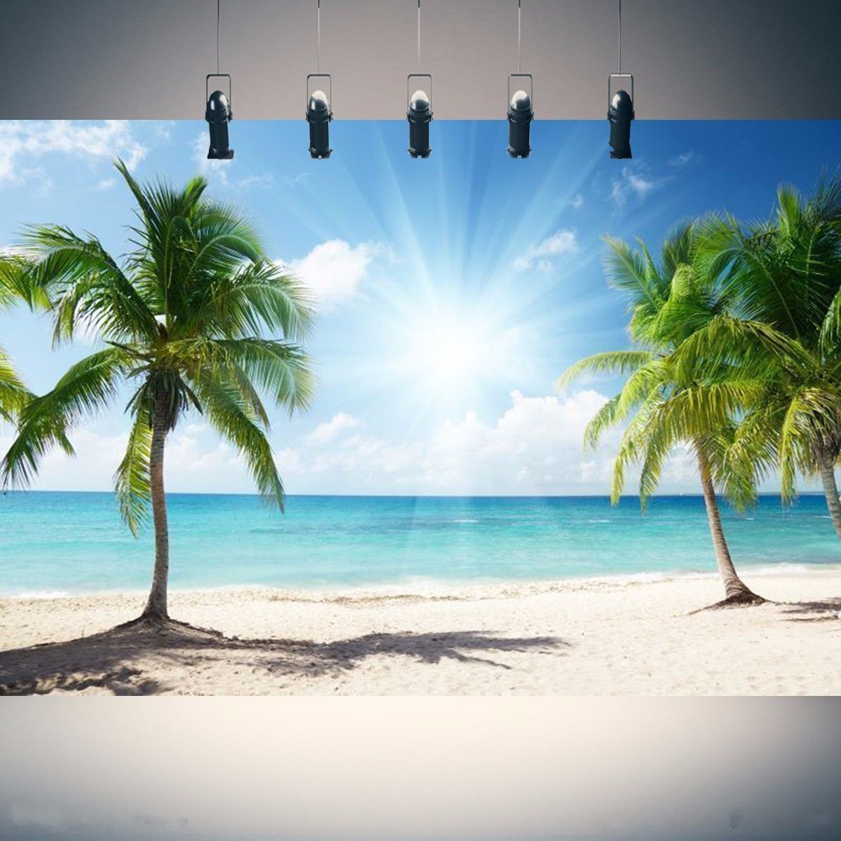 Vinyl-Background-Cloth-Photography-Palm-Beach-Sunshine-Studio-Backdrop-1130353