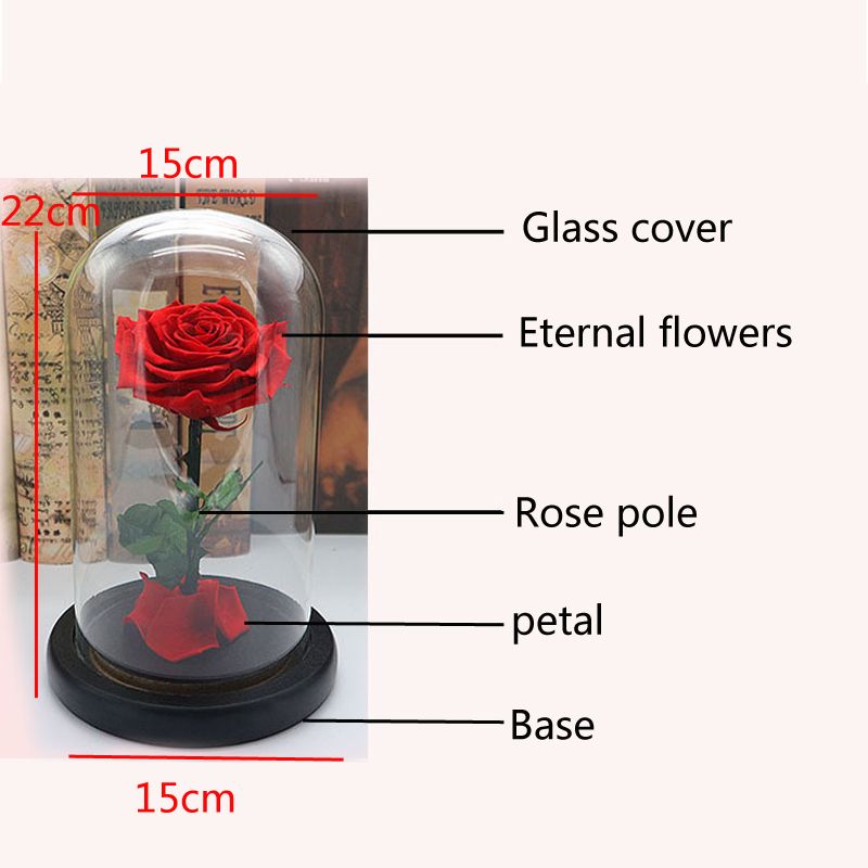 Forever-Rose-Beauty--The-Beast-Immortal-Fresh-Flower-Christmas-Unique-Gifts-Decorations-1640240