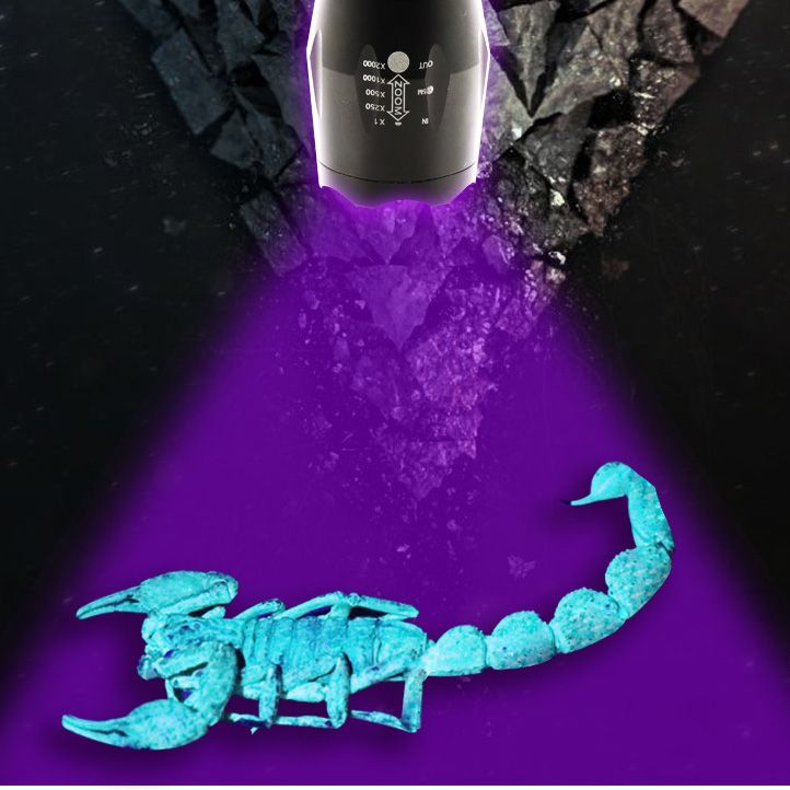 2-in1-XANES-UV05-2xT6-LEDs-PurpleWhite-Light-Zoomable-UV-Flashlight-Scorpion-Insect-Detection-Pen-1311757