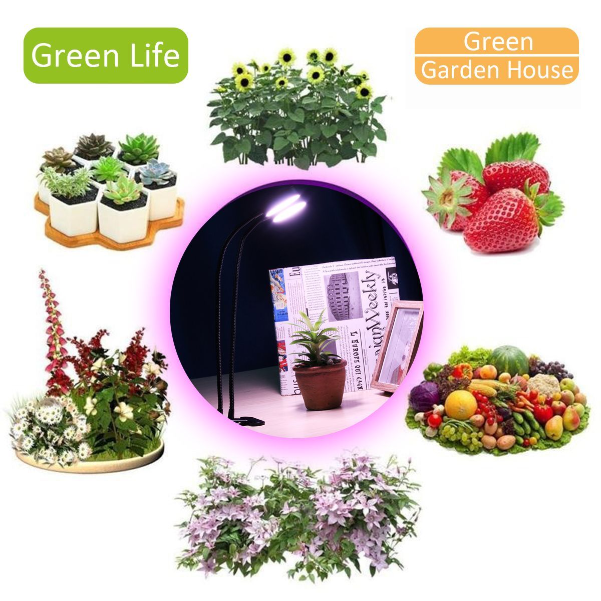 Clip-Plant-Fill-Light-LED-Grow-Light-Fleshy-Planting-Double-Head-Timing-With-Clips-Like-Sun-1388863