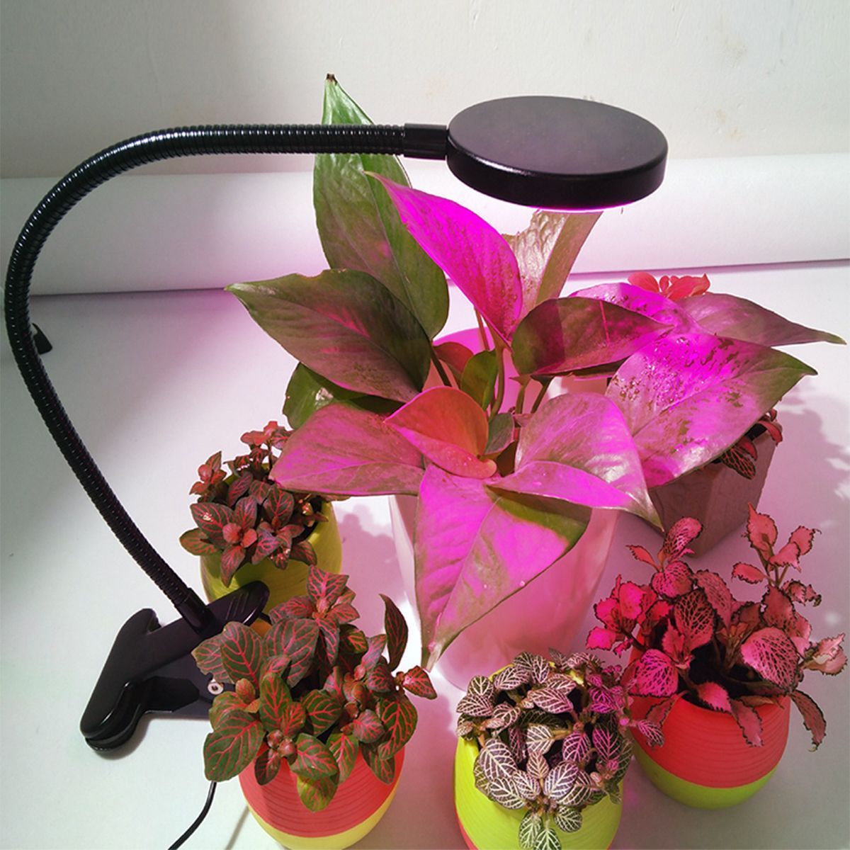 Clip-Plant-Fill-Light-LED-Grow-Light-Fleshy-Planting-Double-Head-Timing-With-Clips-Like-Sun-1388863