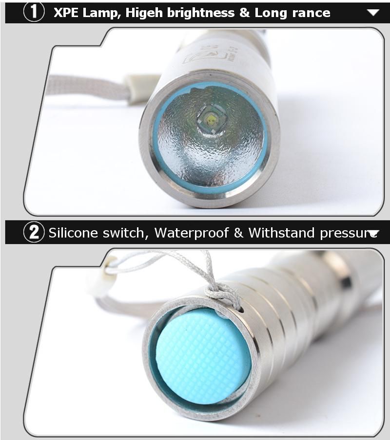 Smiling-Shark-SS-C5-XPE-LED-3Modes-Stainless-Steel-Jade-Screening-Mini-UV-Flashlight-Keychain-1259363