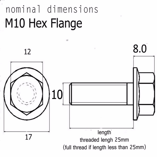 M10-Titanium-Ti-Hex-Head-Flange-Bolt-25-30-35-40-50-55-70-80-90-110-Fine-X-125mm-1102480