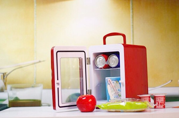 4L-Mini-Refrigerator-Car-Ice-Box-Mini-Fridge-12V-220V-Cool-And-Warm-Container-1113675