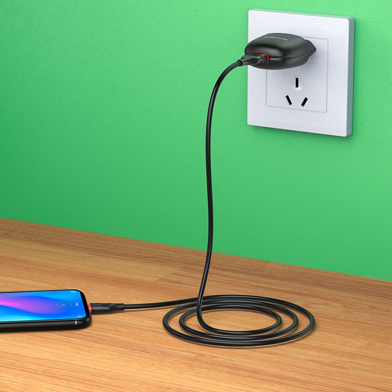 BOROFONE-BA49A-USB-Charger-Fast-Charging-Wall-Travel-Charger-Adapter-wiht-USB-Cable-For-iPhone-XS-11-1707149