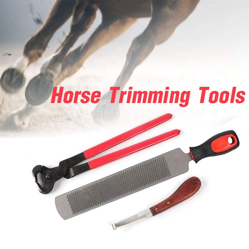3Pcs-Farriers-Equestrian-Horse-Cattle-Hoof-Nipper-Cutter-File-Rasp-Trimming-Set-1723770