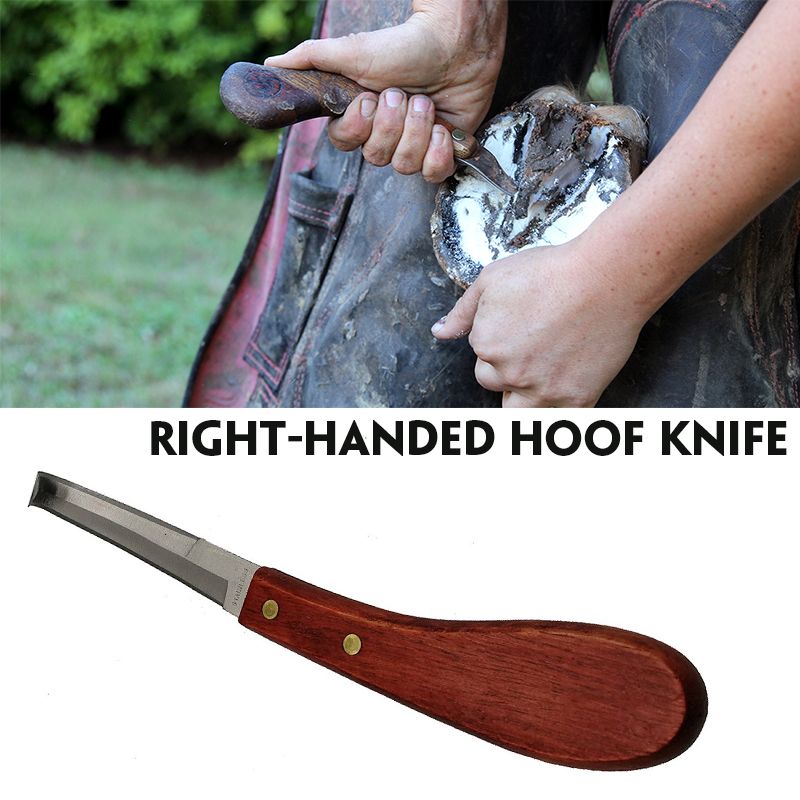 Right-Handed-Hoof-Knife-with-Wooden-Handle-Double-Blade-Hoof-Knife-Trimming-Tool-1728093