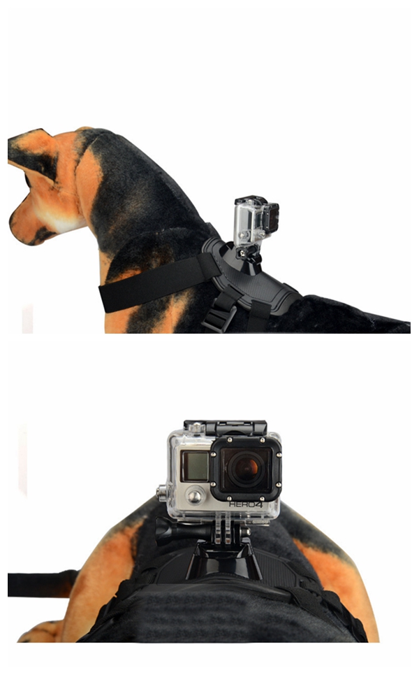 Pet-Dog-Fetch-Chest-Harness-Strap-Mount-Belt-for-GoPro-Hero-Yi-Sportscamera-1011661