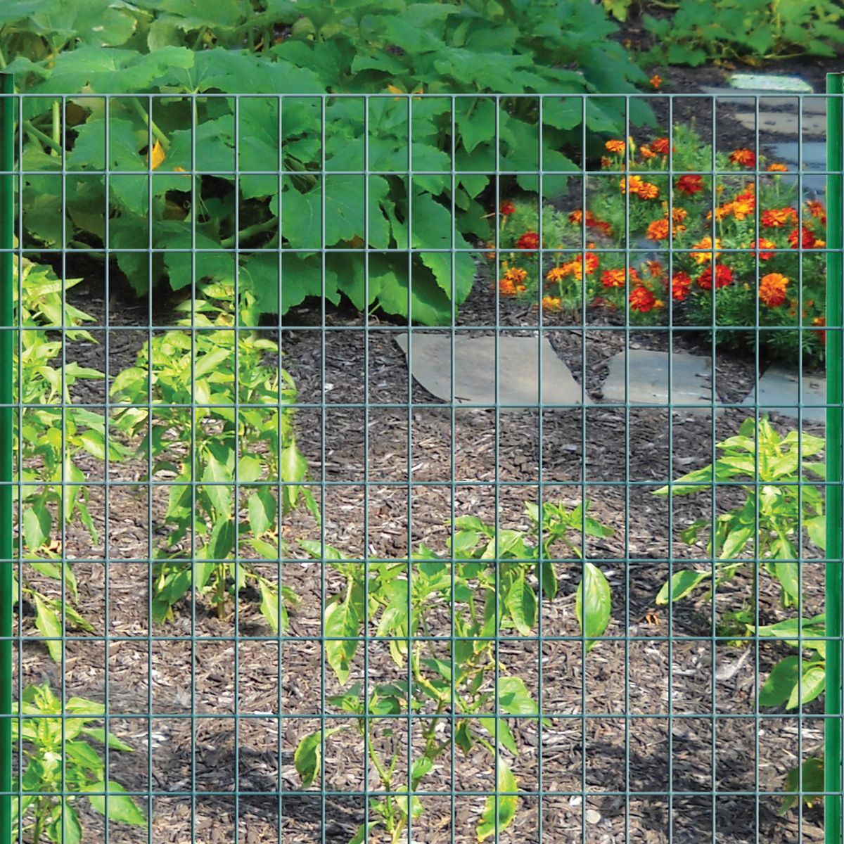 06x5m-Garden-Fence-Plant-Growth-Climbing-Frame-Fence-Lattice-Gardening-Net-Vegetable-Plant-Garden-To-1717552