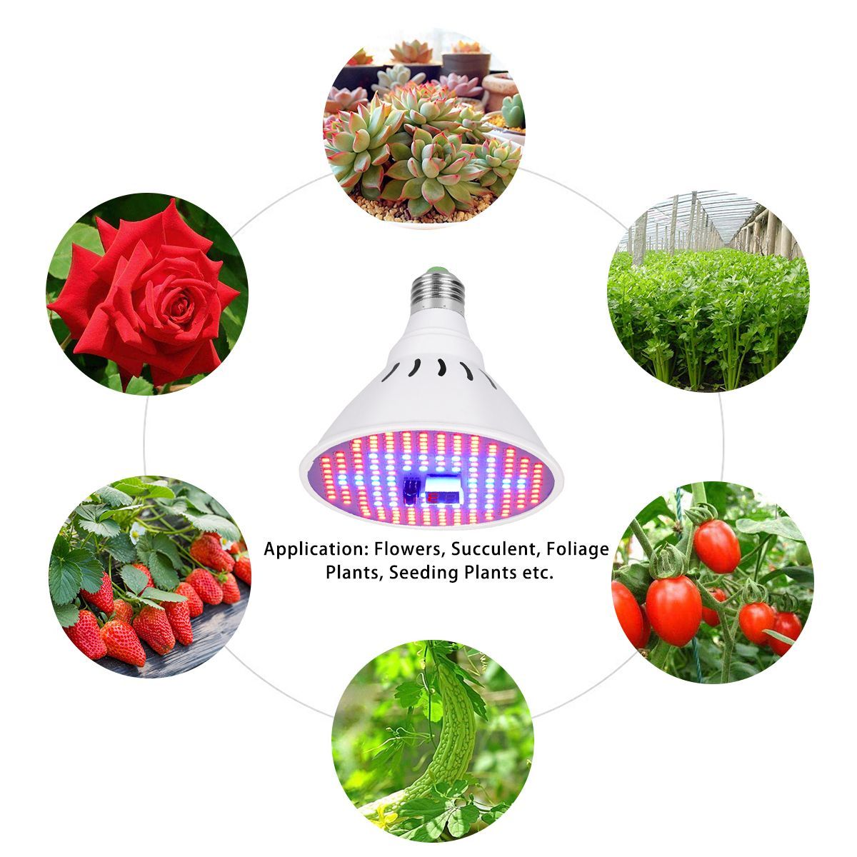 100W-204LED-Plant-Growing-Light-Full-Spectrums-Grow-Lamp-Remote-Control-Indoor-1637418