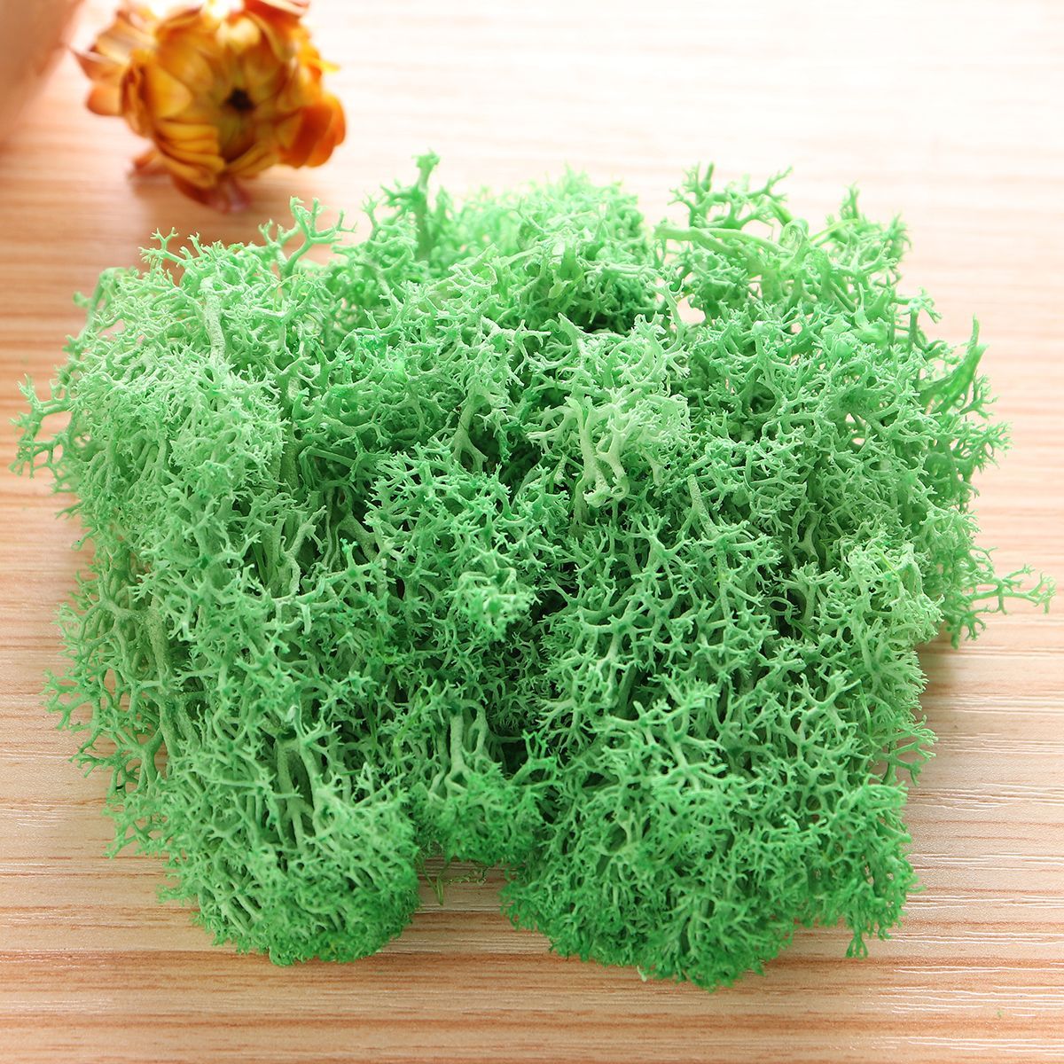 10g-Natural-Norwegian-Reindeer-Moss-Preserved-Dried-Craft-Preservation-Flower-Fairy-Decorations-1360459