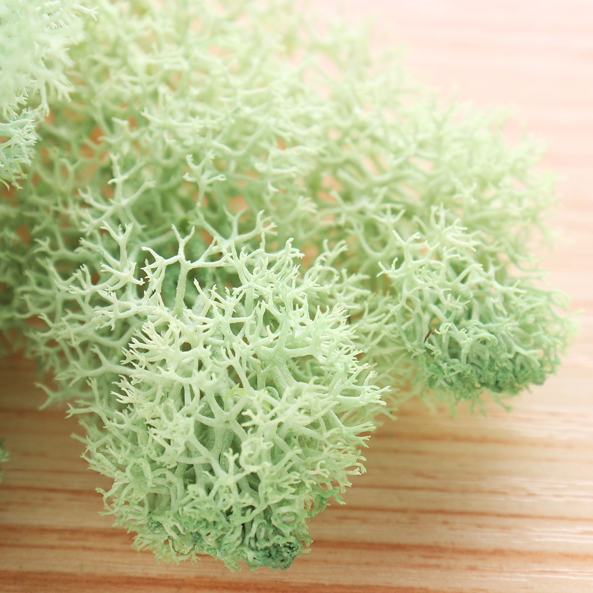 10g-Natural-Norwegian-Reindeer-Moss-Preserved-Dried-Craft-Preservation-Flower-Fairy-Decorations-1360459