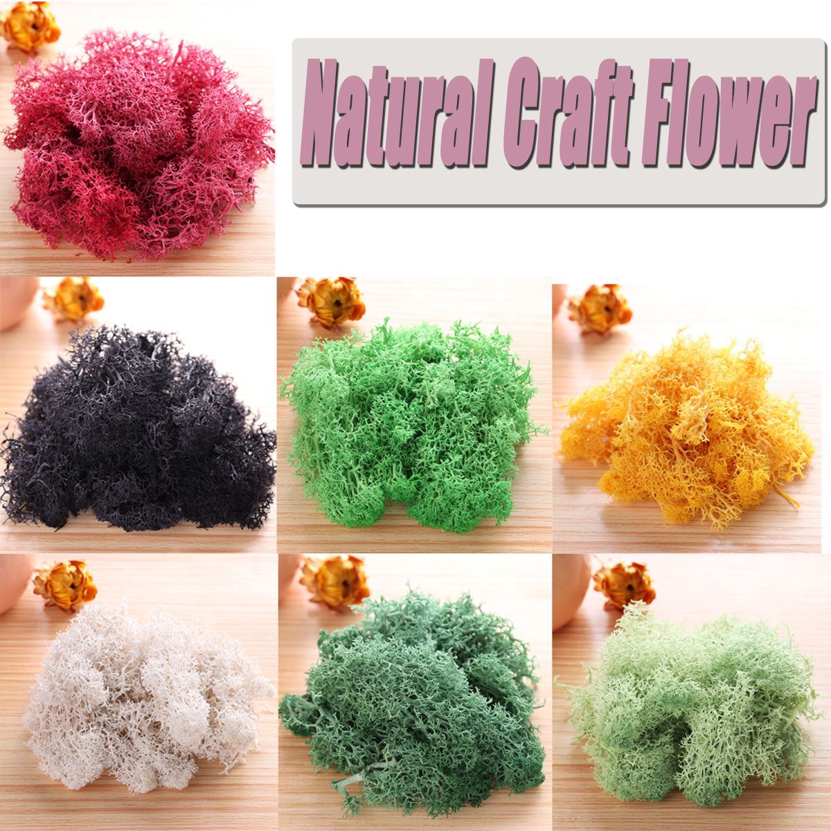 10g-Natural-Norwegian-Reindeer-Moss-Preserved-Dried-Craft-Preservation-Flower-Fairy-Decorations-1360459