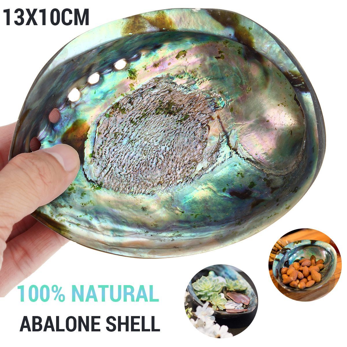 13X10CM-Natural-Abalone-Sea-Shell-Both-Side-Polished-Beach-Craft-DIY-Decorations-1459015