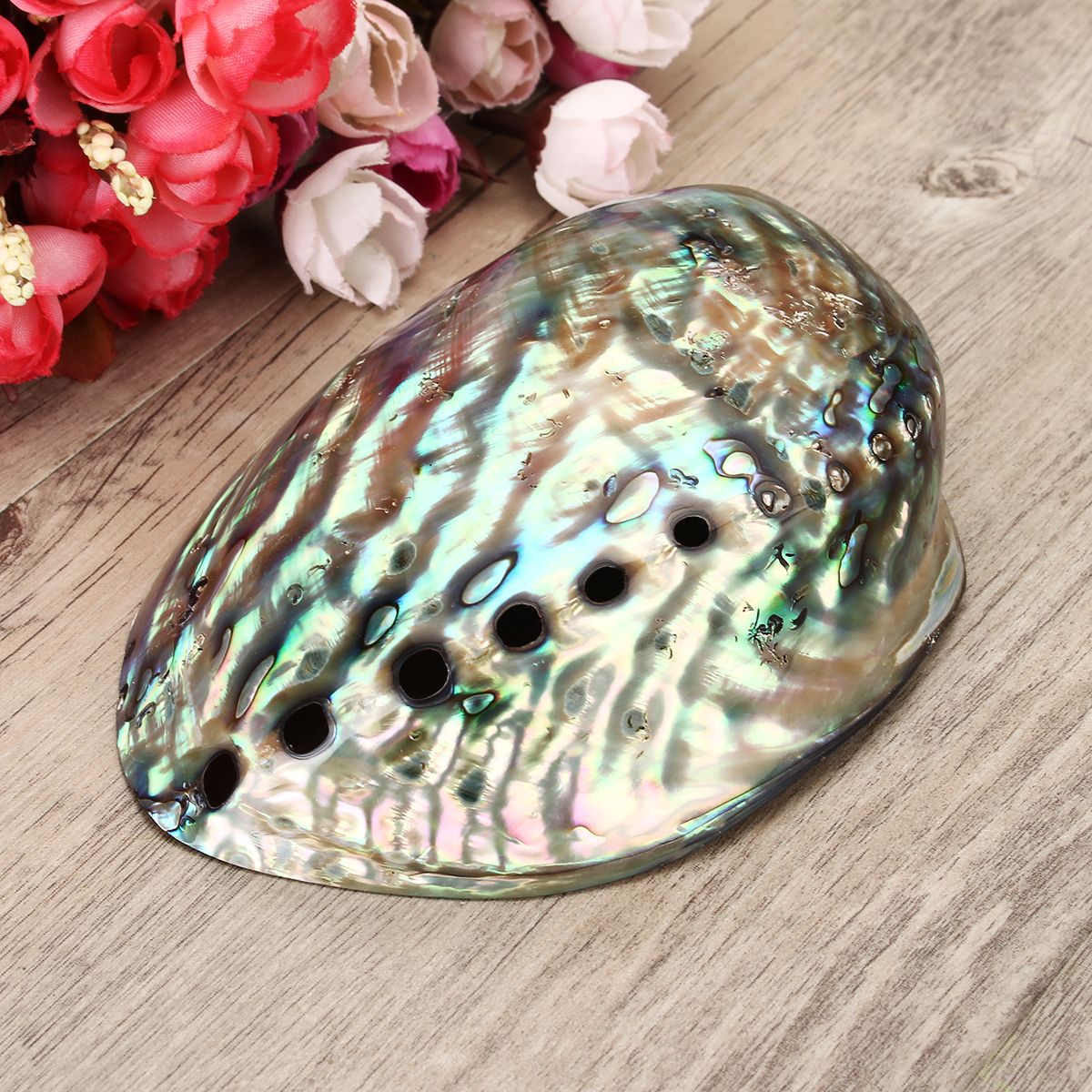 13X10CM-Natural-Abalone-Sea-Shell-Both-Side-Polished-Beach-Craft-DIY-Decorations-1459015