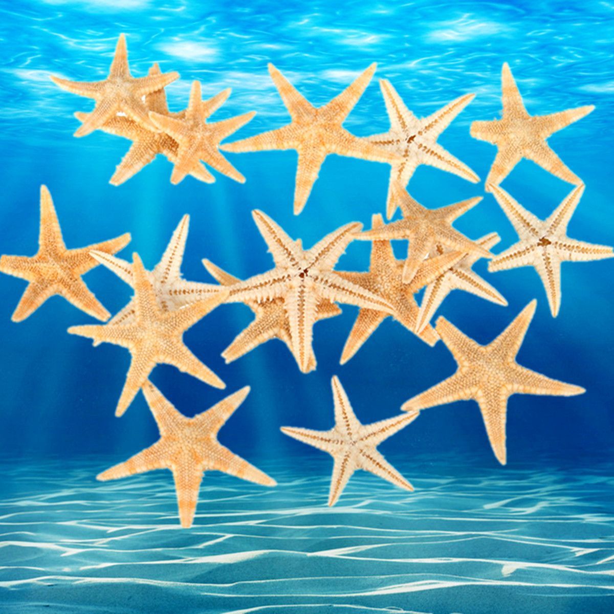 20Pcs-Mini-Starfish-Sea-Star-Shell-Landscape-Beach-Wedding-DIY-Crafts-Making-Decorations-1427698