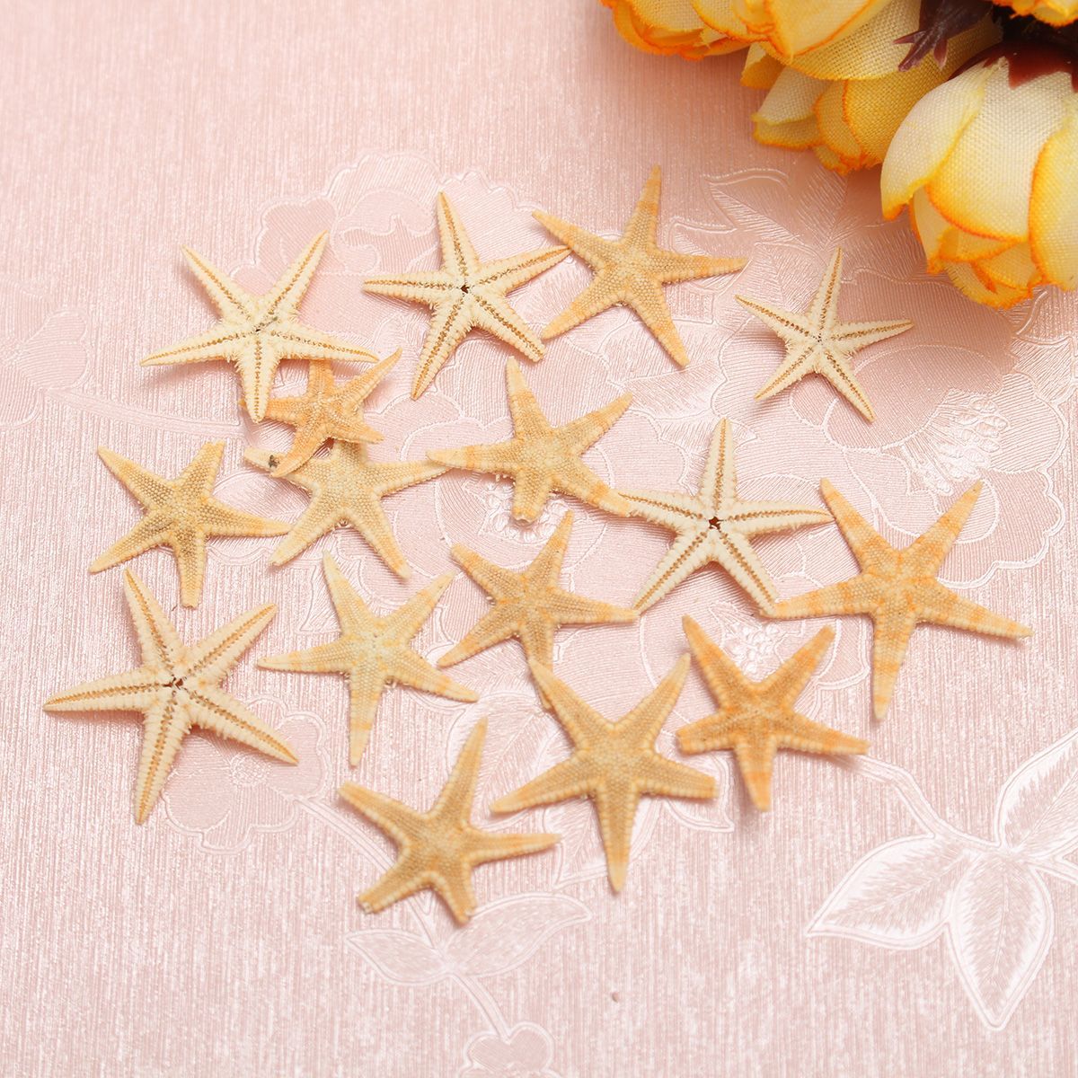 20Pcs-Mini-Starfish-Sea-Star-Shell-Landscape-Beach-Wedding-DIY-Crafts-Making-Decorations-1427698