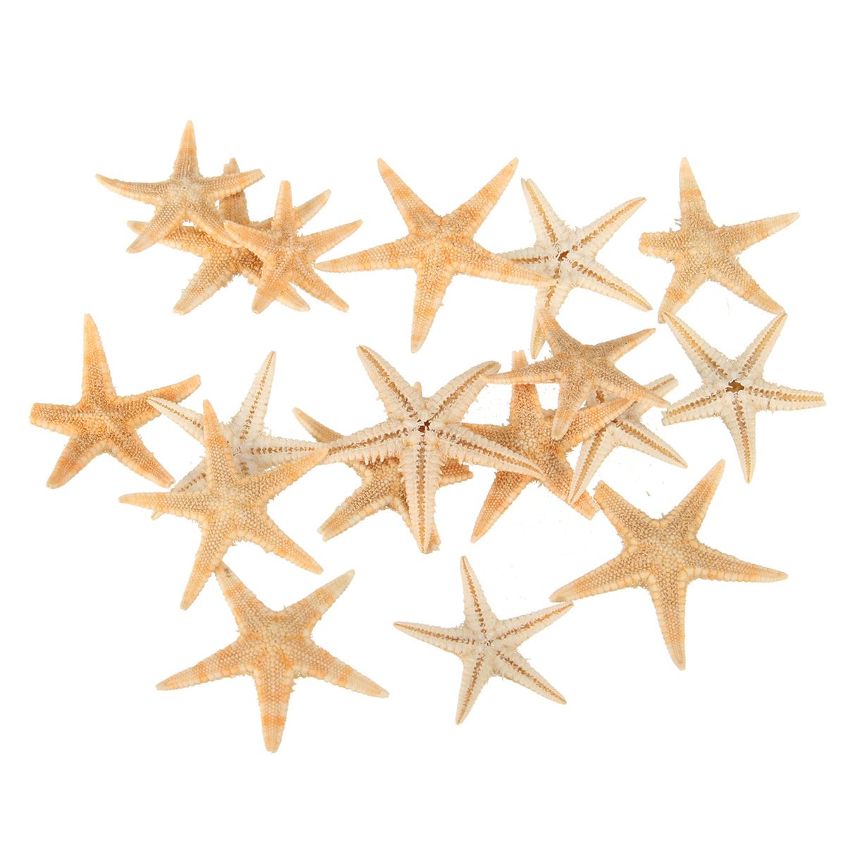 20Pcs-Mini-Starfish-Sea-Star-Shell-Landscape-Beach-Wedding-DIY-Crafts-Making-Decorations-1427698