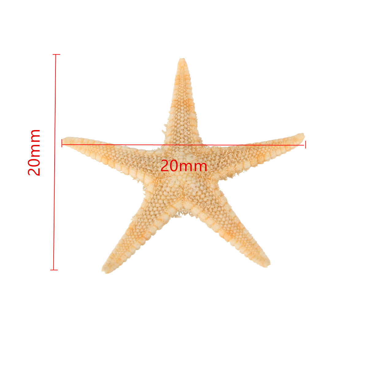 20Pcs-Mini-Starfish-Sea-Star-Shell-Landscape-Beach-Wedding-DIY-Crafts-Making-Decorations-1427698