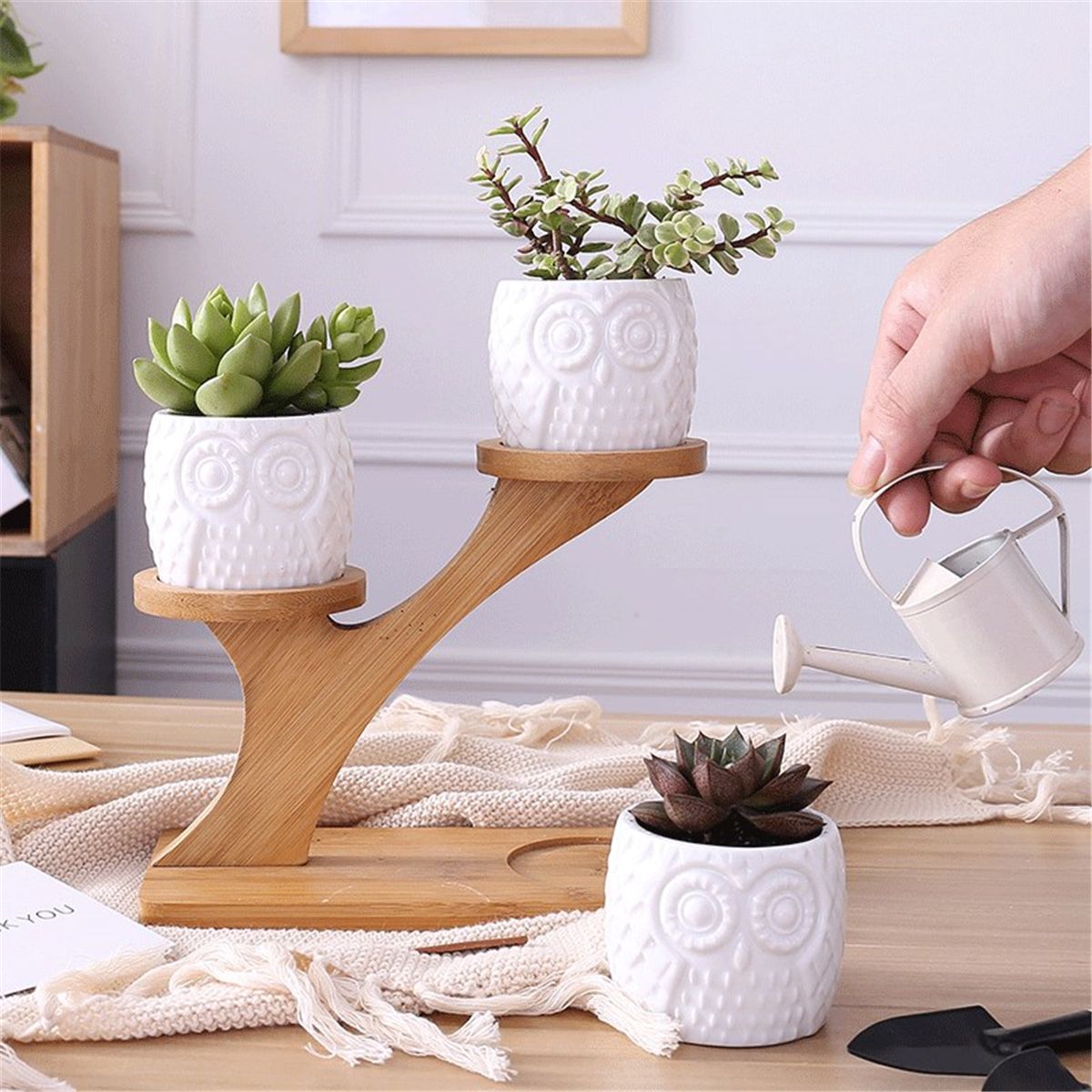 3Pcs-Owl-Succulent-Pot-Ceramic-Garden-Flower-Planter-Holder-Bamboo-Stand-Sets-1493607