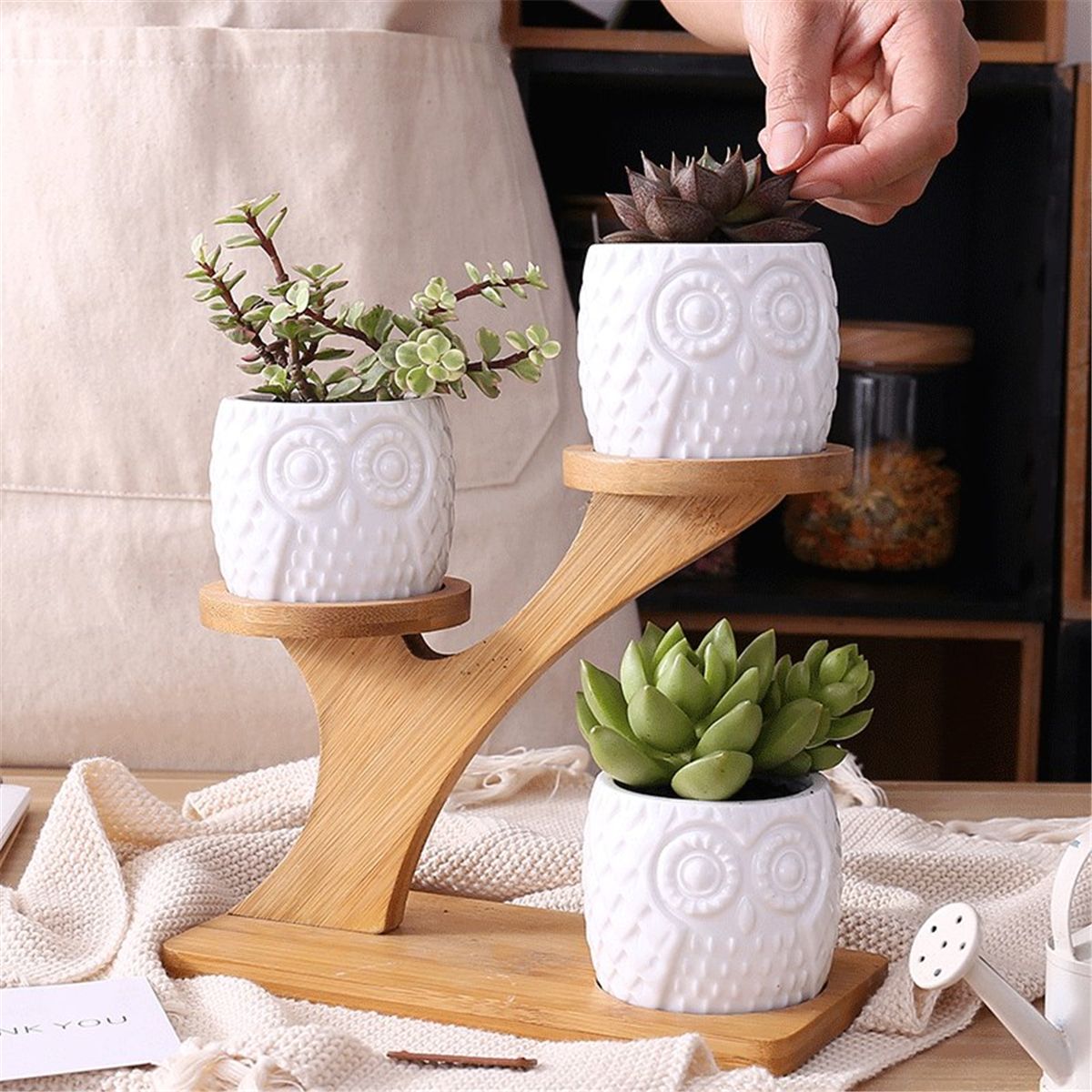 3Pcs-Owl-Succulent-Pot-Ceramic-Garden-Flower-Planter-Holder-Bamboo-Stand-Sets-1493607