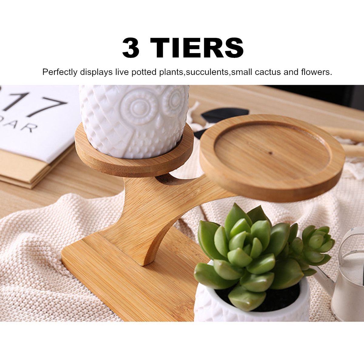 3Pcs-Owl-Succulent-Pot-Ceramic-Garden-Flower-Planter-Holder-Bamboo-Stand-Sets-1493607