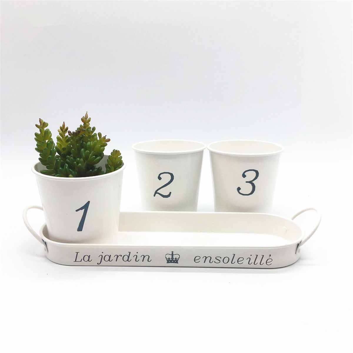 3pcsSet-Iron-Bucket-Flower-Pot-Tray-Small-Pots-Herbs-Planter-Garden-Window-Pots-1730863