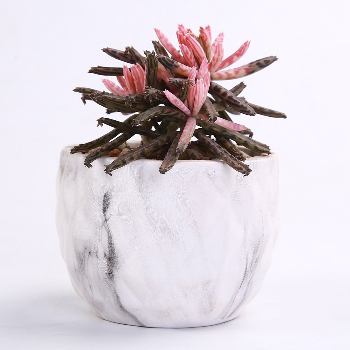 4Pcsset-Ceramic-Natural-Stone-Style-Flower-Succulent-Planting-Pot-Garden-Decor-1588603