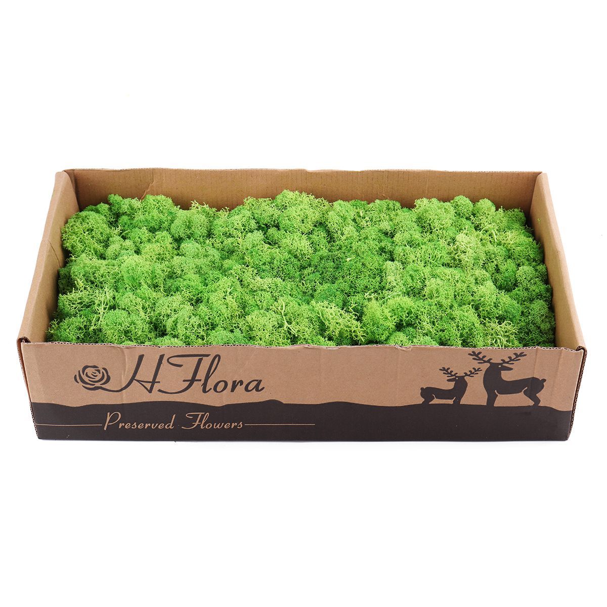 500g-Natural-Norwegian-Reindeer-Moss-Preserved-Dried-Craft-Preservation-Flower-Fairy-Decorations-DIY-1360458