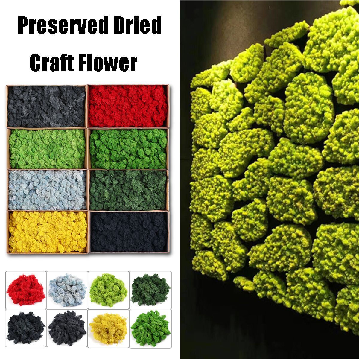 500g-Natural-Norwegian-Reindeer-Moss-Preserved-Dried-Craft-Preservation-Flower-Fairy-Decorations-DIY-1360458