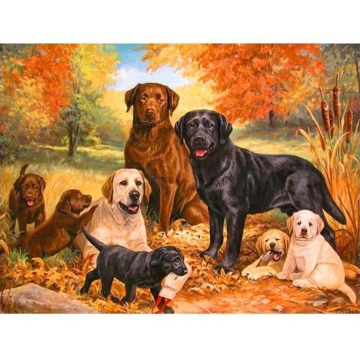 5D-Diamond-Paintings-Dogs-Embroidery-Cross-Stitch-Pictures-Arts-Craft-Tool-Kit-Decor-1633787
