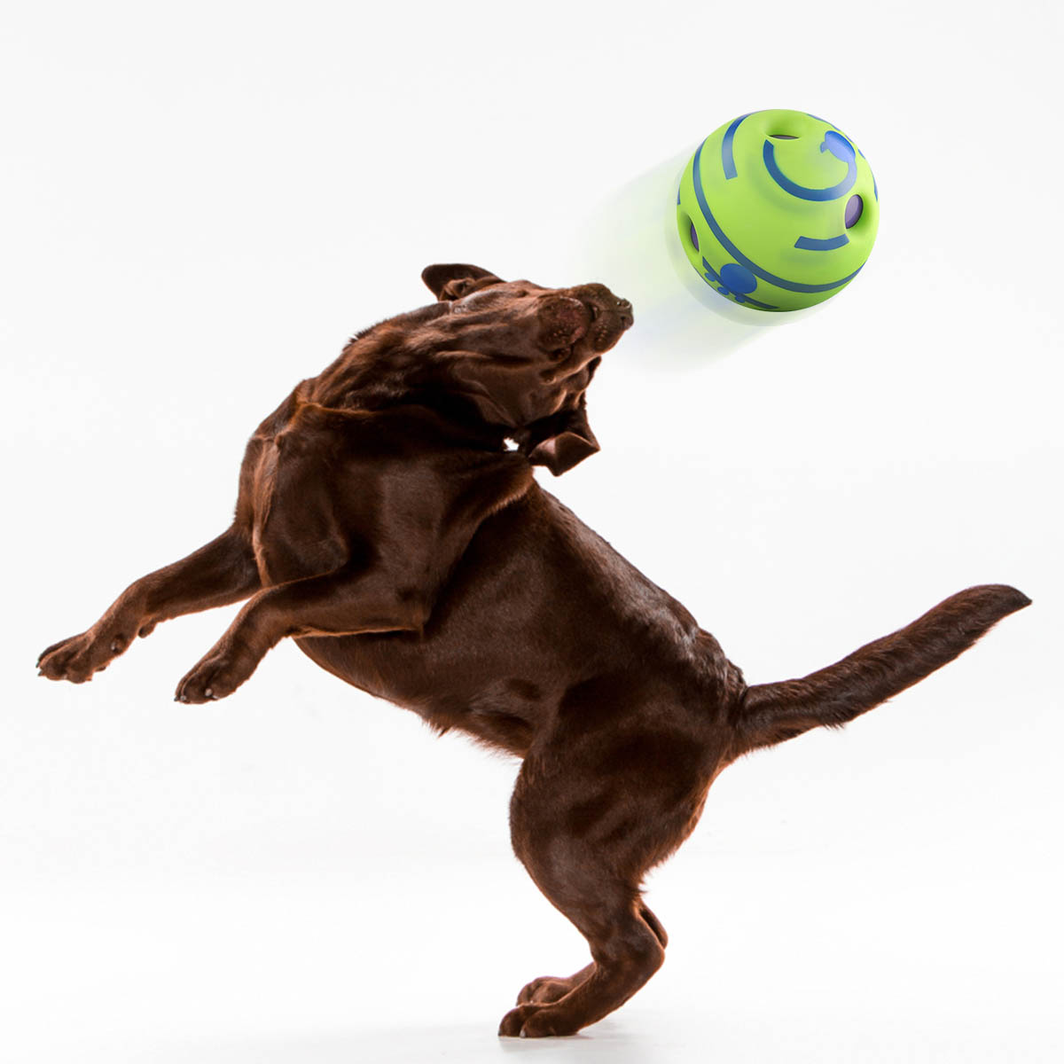 6-Inch-Pet-Dog-Play-Ball-Training-Chew-With-Funny-Sound-Toys-Squeaky-Giggle-Ball-1222641