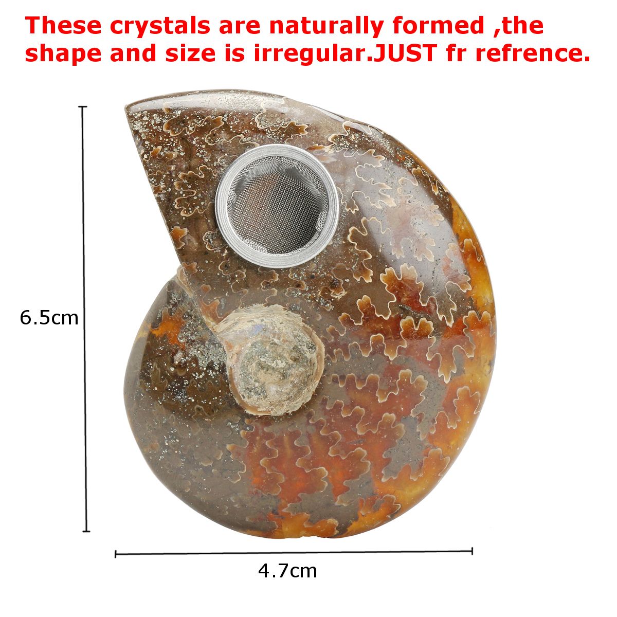 65MM-Natural-Ammonite-Fossil-Quartz-Crystal-Stone-Pipe-Healing-With-Carb-Gifts-Decorations-1564271
