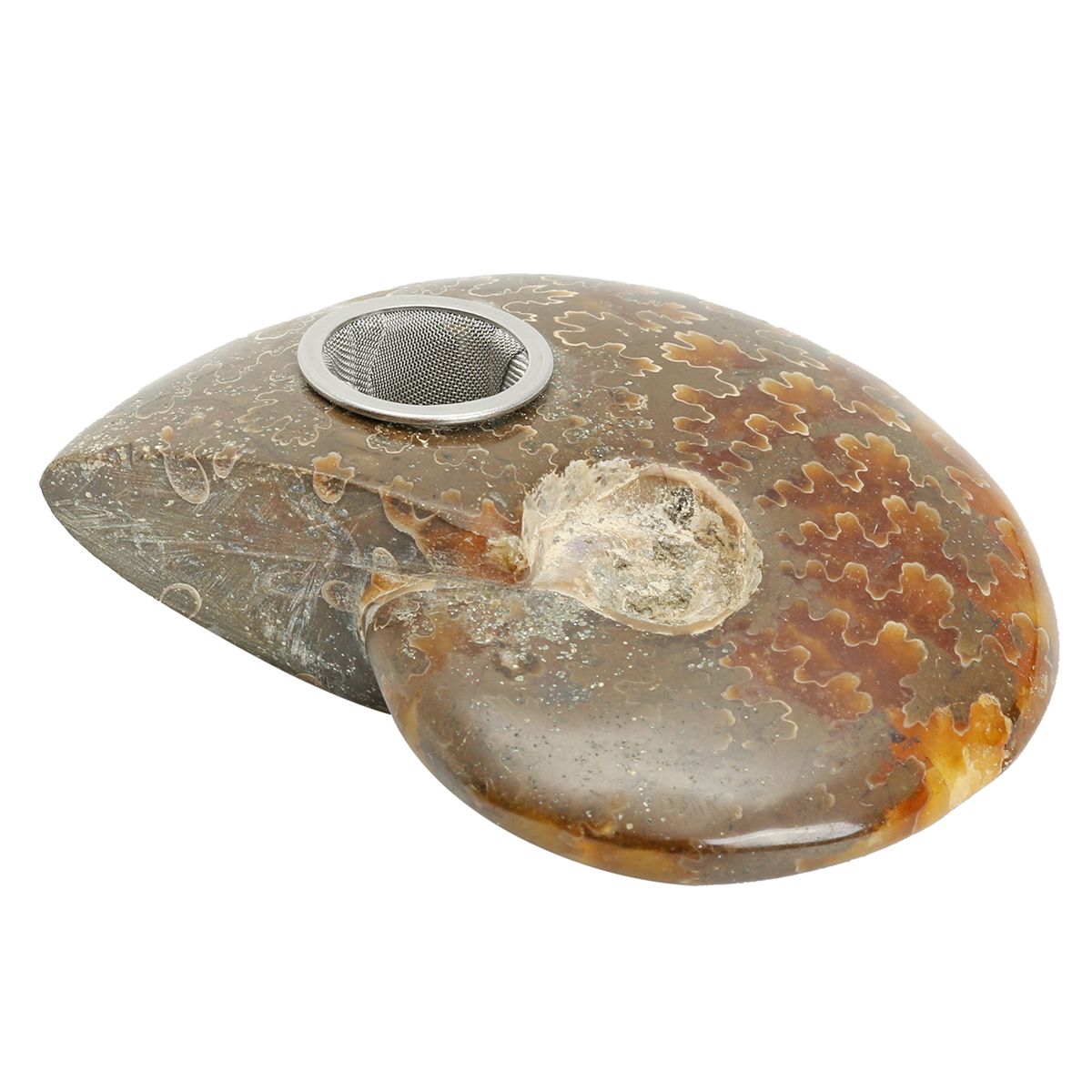 65MM-Natural-Ammonite-Fossil-Quartz-Crystal-Stone-Pipe-Healing-With-Carb-Gifts-Decorations-1564271